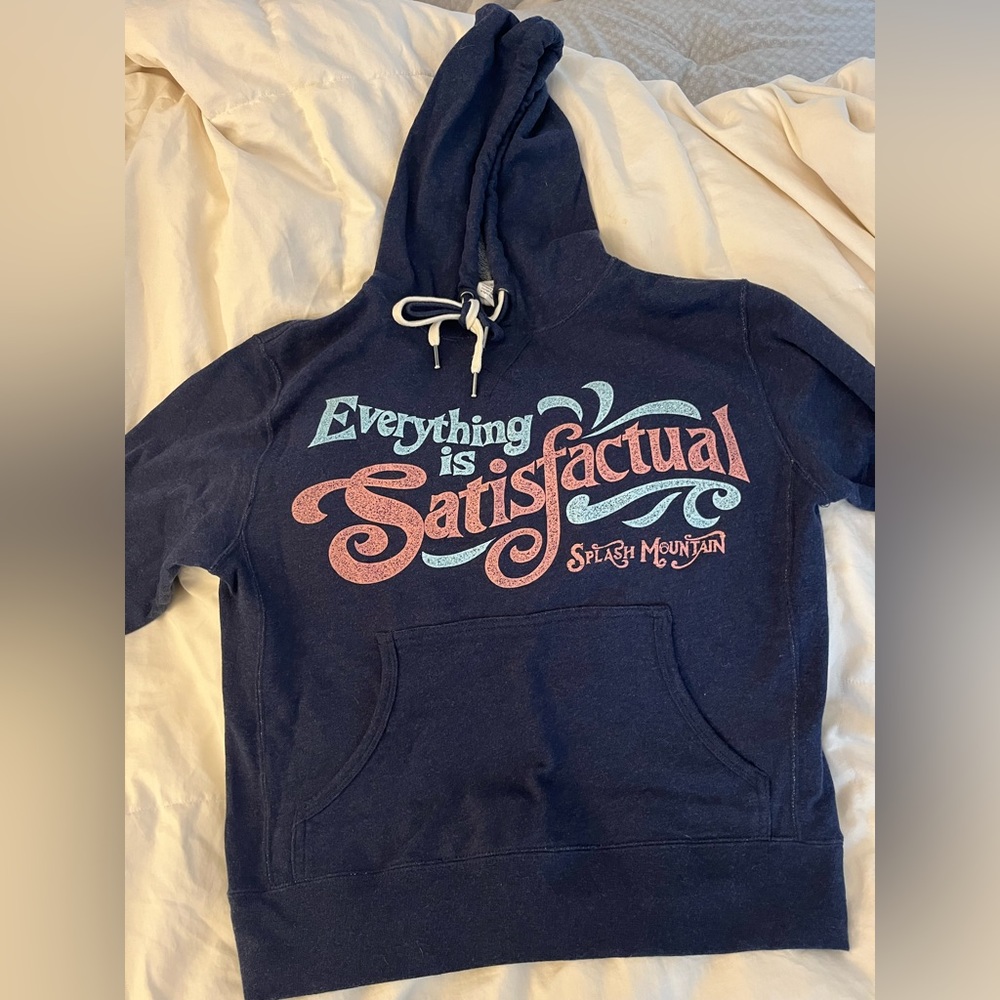Disney’s Splash Mountain hooded sweatshirt XS
